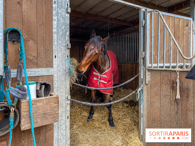 Domaine de Maffliers : notre test de l'escapade champêtre et équestre by Demeures de Campagne - IMG 1370