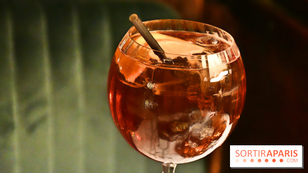 Le Wagon Bleu Paris, un restaurant insolite et festif aux accents corses - IMG 3315