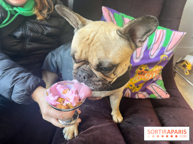 CAYU Canidés Club, la boutique d'accessoires dog friendly - nos photos