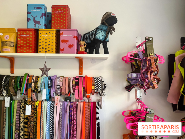 CAYU Canidés Club, la boutique d'accessoires dog friendly - nos photos