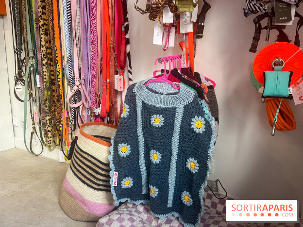 CAYU Canidés Club, la boutique d'accessoires dog friendly - nos photos