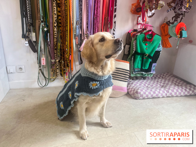 CAYU Canidés Club, la boutique d'accessoires dog friendly - nos photos