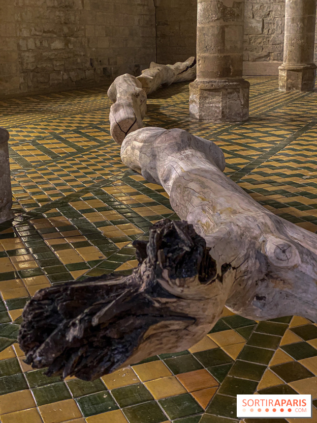 En deçà de l’invisible : Cécile Beau et Grégoire Scalabre s'exposent à l'Abbaye de Maubuisson - IMG 1503