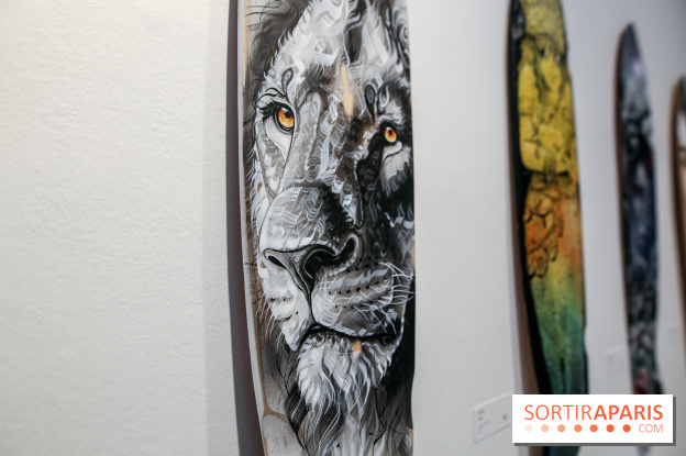 Boards to be solidaire 2024, nos photos - IMG 6875