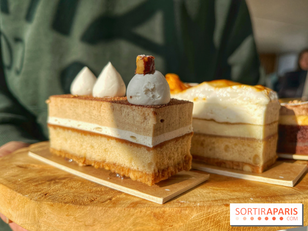 Bûches 2024 Land&Monkeys - IMG 7491