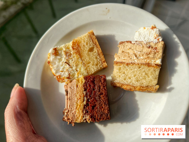 Bûches 2024 Land&Monkeys - IMG 7495