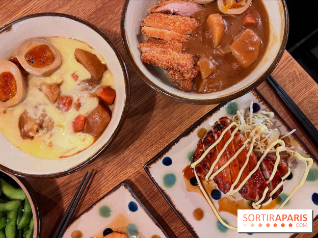 Jinchan Yokocho - Curry japonais