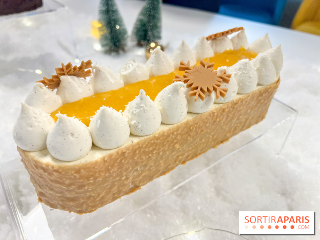 Bûches de Noël 2024 Bo&Mie - Flocon Exotique