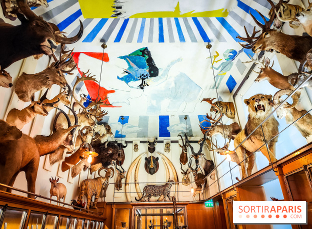 Musée de la chasse et de la nature - collections permanentes et visuels