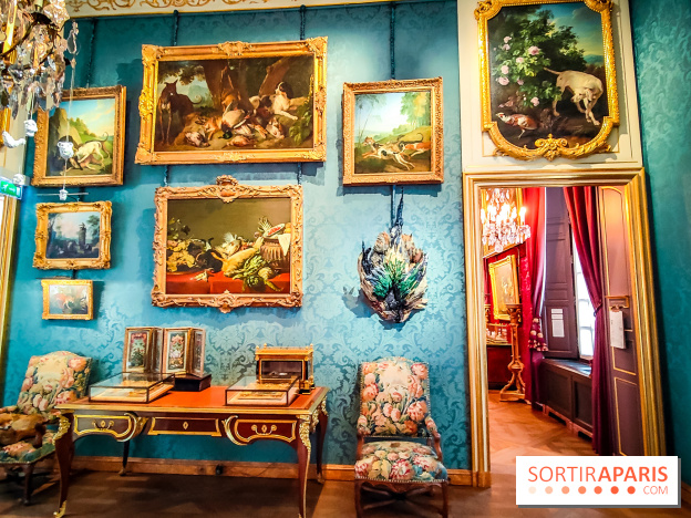 Musée de la chasse et de la nature - collections permanentes et visuels