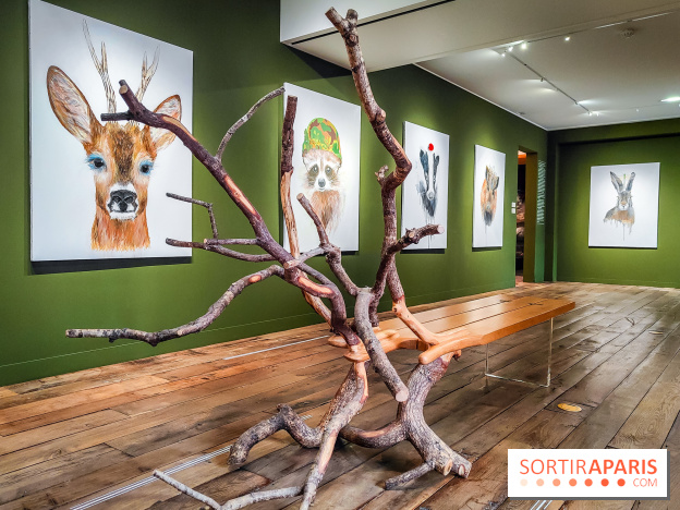 S'éclairer sans fin : l'exposition poétique d'Edi Dubien au musée de la Chasse et de la Nature - photos