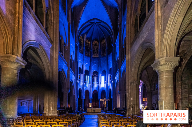 Lueurs de Mantes 2024, le parcours lumineux dans les Yvelines - photos - A7C9187