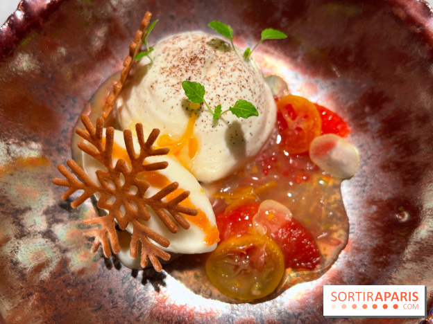 Virtus - Dessert main de bouddha