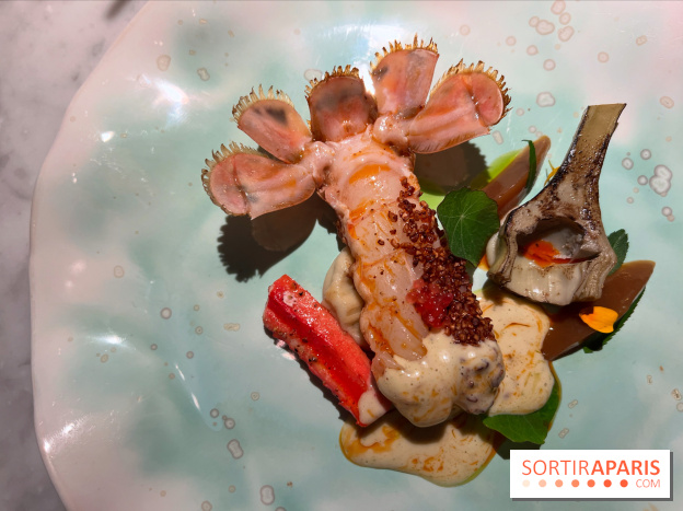 Virtus - Langoustine au sarrasin