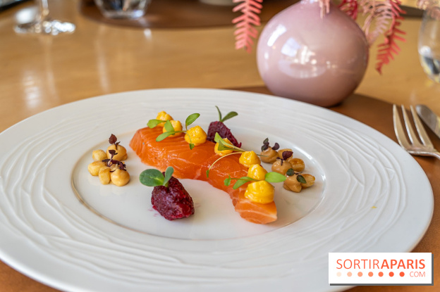 La Table du Château à Dampierre-en-Yvelines, le restaurant face au château - nos photos -  saumon