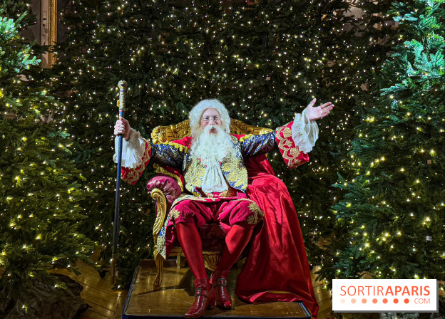Le Parcours du Roi, la visite-spectacle de Noël 2024 du Château de Versailles - FullSizeRender 29