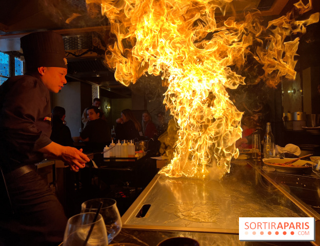 Benihana - Teppanyaki