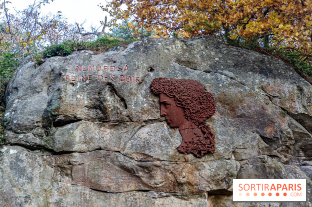 Randonnée à Fontainebleau : le sentier sur les pas de Denecourt jusqu’à la Tour Denecourt - A7C7555