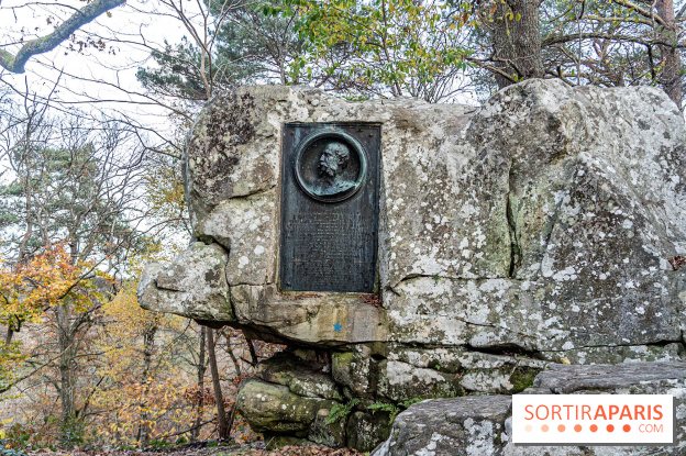 Randonnée à Fontainebleau : le sentier sur les pas de Denecourt jusqu’à la Tour Denecourt - A7C7558