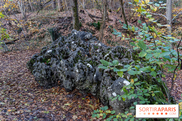 Randonnée à Fontainebleau : le sentier sur les pas de Denecourt jusqu’à la Tour Denecourt - A7C7571