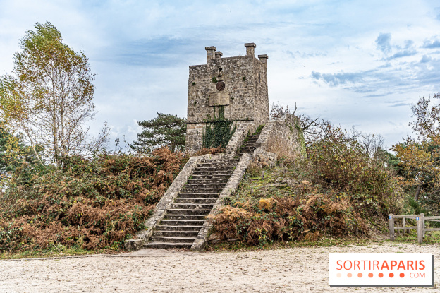 Randonnée à Fontainebleau : le sentier sur les pas de Denecourt jusqu’à la Tour Denecourt - A7C7600