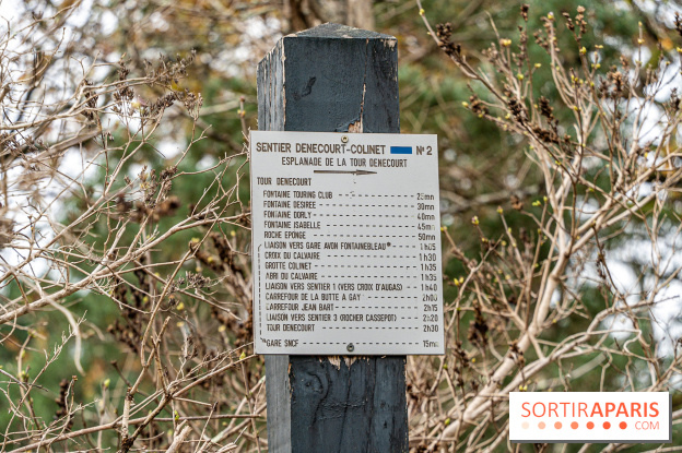 Randonnée à Fontainebleau : le sentier sur les pas de Denecourt jusqu’à la Tour Denecourt