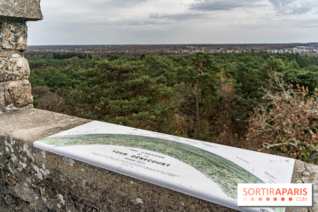 Randonnée à Fontainebleau : le sentier sur les pas de Denecourt jusqu’à la Tour Denecourt - A7C7615