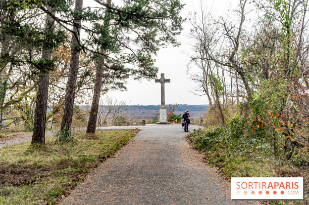Randonnée à Fontainebleau : le sentier sur les pas de Denecourt jusqu’à la Tour Denecourt - A7C7618