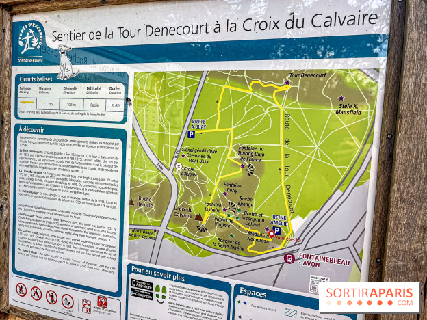 Randonnée à Fontainebleau : le sentier sur les pas de Denecourt jusqu’à la Tour Denecourt - IMG 5442