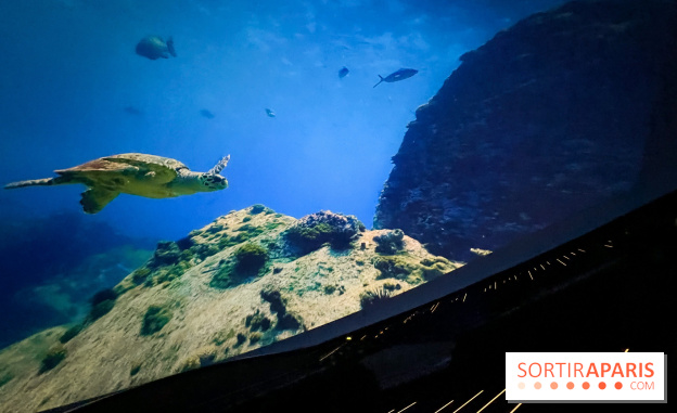 La Géode 2025 - IMG 8543 jpg