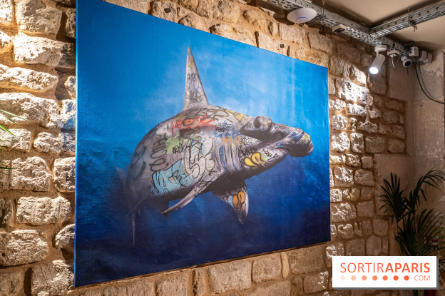 Exposition street-art Colors festival x Tracks 119