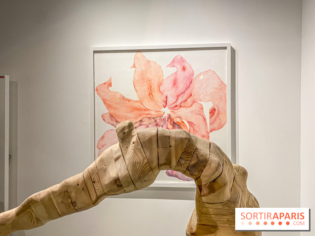 Exposition Belladone de Tatiana Wolska au Drawing Lab - IMG 2353