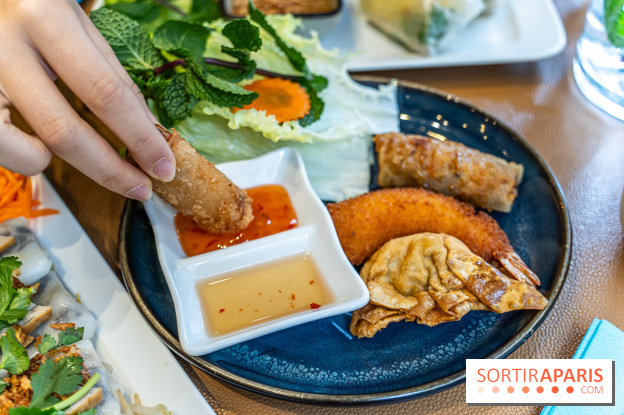 Chez An - Au coin du Vietnam, restaurant vietnamien du 14e à Paris - nems - assortiment frit