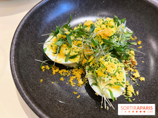 Argile - Oeufs mimosa, poutargue