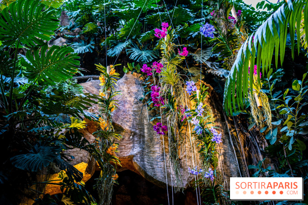 Mille et une orchidées 2025 - les photos