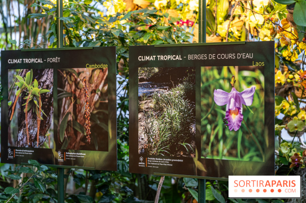 Mille et une orchidées 2025 - les photos