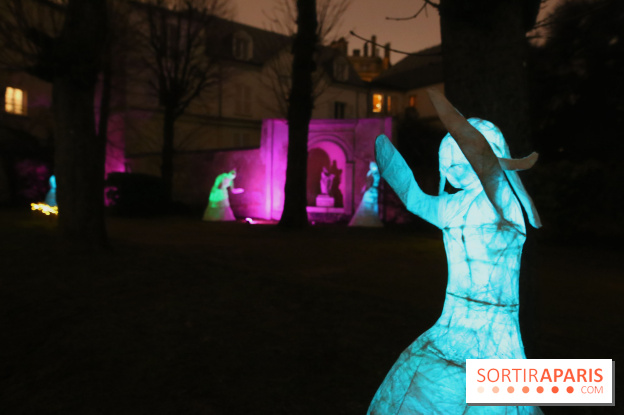 Exposition Silva Lumina au Centre Culturel Irlandais - Silva Lumina 13 fotor 2025020691830