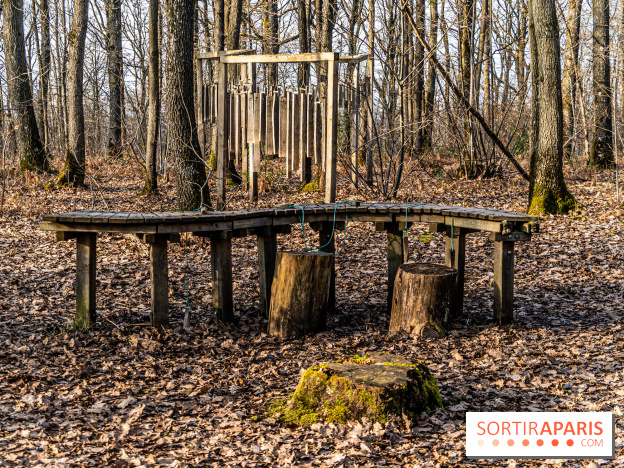 Balade sentier : Conte de Mélida, l'esprit de la forêt en forêt de Méridon (78) - A7C02314