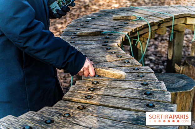 Balade sentier : Conte de Mélida, l'esprit de la forêt en forêt de Méridon (78) - A7C02316