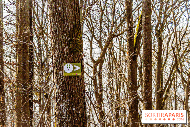 Balade sentier : Conte de Mélida, l'esprit de la forêt en forêt de Méridon (78) - A7C02319