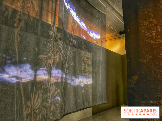 Paysages mouvants - IMG 8696