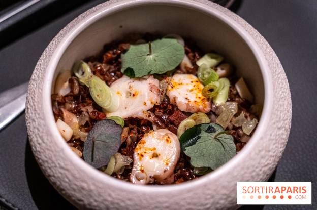 Le Baudelaire, restaurant étoilé du Burgundy par Mylo Levin - A7C02424