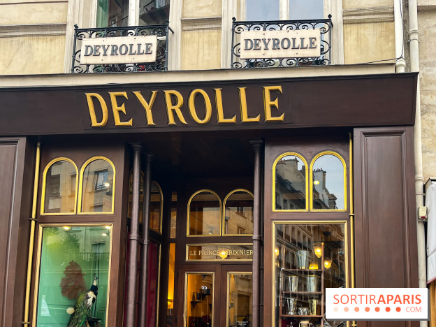 Deyrolle, l'incroyable cabinet de curiosités à Paris - nos photos