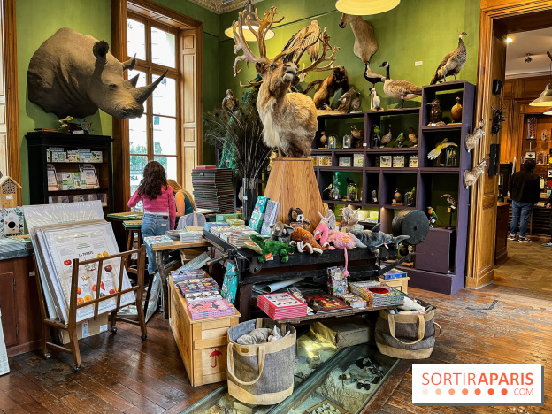Deyrolle, l'incroyable cabinet de curiosités à Paris - nos photos