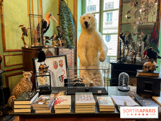 Deyrolle, l'incroyable cabinet de curiosités à Paris - nos photos
