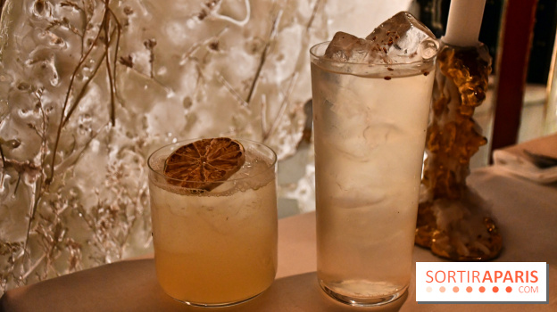 Ojii, l'excellent spot aux allures de bar tokyoïde à Paris - DSC 3538 Fotor