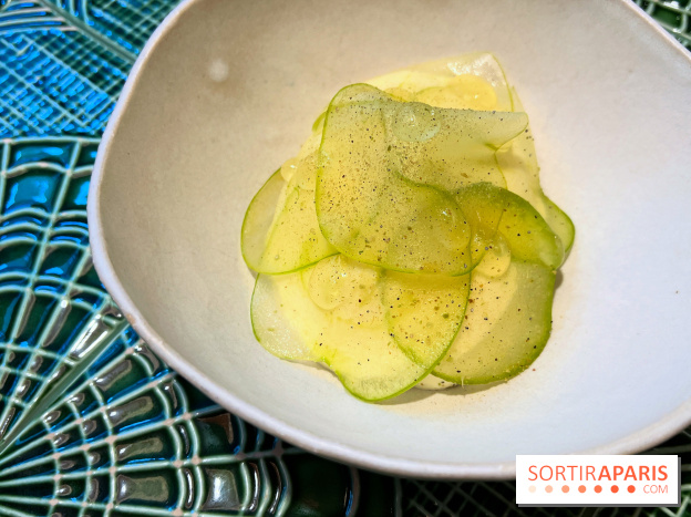 Le Christine - Sorbet pomme, kiwi déshydraté