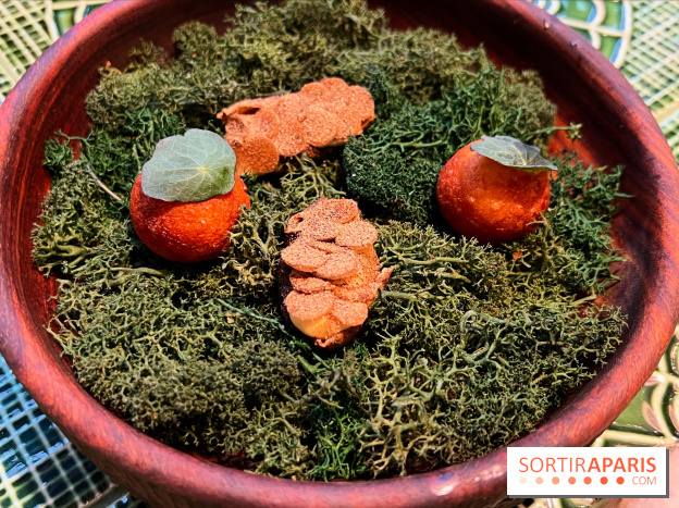 Le Christine - Topinambours soufflés, pomme dauphine