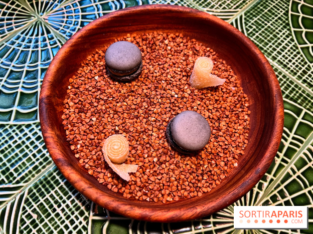 Le Christine - Macaron citron noir, bonbon pomme yuzu