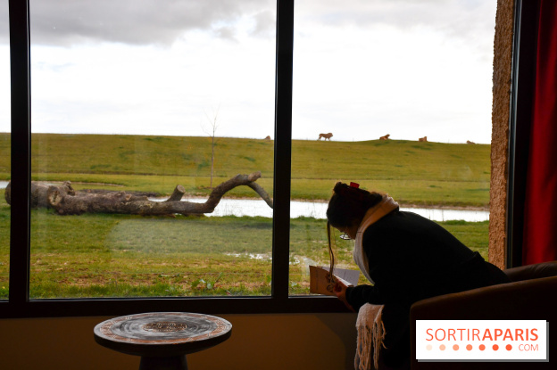Le Royaume des Lions, l'hôtel immersif à la Lumigny Safari Reserve - nos photos - C46526C1 A8FD 4F28 9DED F6B5DC426CB1